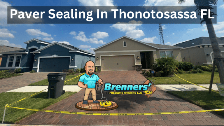 Paver Sealing Thonotosassa FL 33527